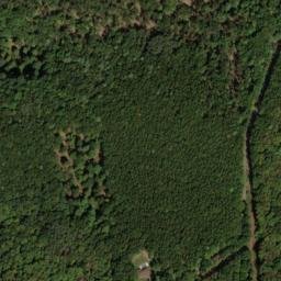 Satellite imagery of Lick Ridge, US