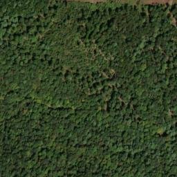 Satellite imagery of Lick Ridge, US