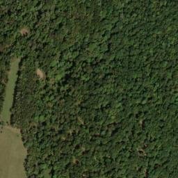 Satellite imagery of Lick Ridge, US