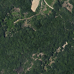Satellite imagery of survey_point, ES