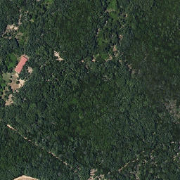 Satellite imagery of survey_point, ES