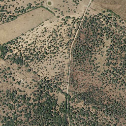 Satellite imagery of survey_point, PT