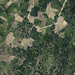 Satellite imagery of survey_point, ES
