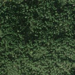 Satellite imagery of Fisher Ridge, US