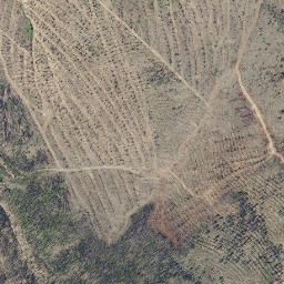 Satellite imagery of survey_point, PT