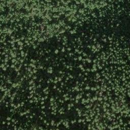Satellite imagery of Fisher Ridge, US