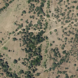 Satellite imagery of survey_point, PT