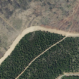 Satellite imagery of survey_point, PT