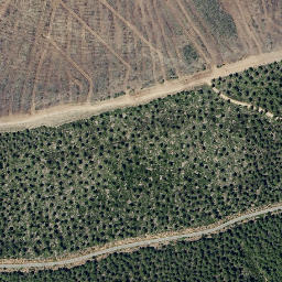 Satellite imagery of survey_point, PT
