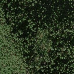 Satellite imagery of Fisher Ridge, US