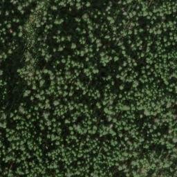 Satellite imagery of Fisher Ridge, US