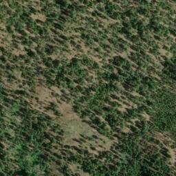 Satellite imagery of Stone Ridge, US