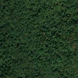 Satellite imagery of Warriors Point, US