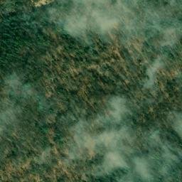 Satellite imagery of Dicks Ridge, US