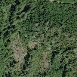 Satellite imagery of Oak Ridge, US