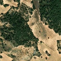 Satellite imagery of survey_point, ES