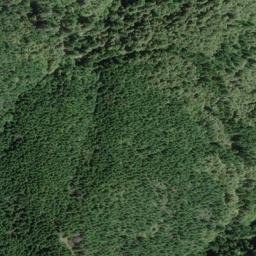 Satellite imagery of Pig Toe, US