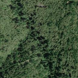 Satellite imagery of Pig Toe, US