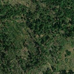 Satellite imagery of Wilson Point, US
