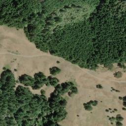 Satellite imagery of Pig Toe, US
