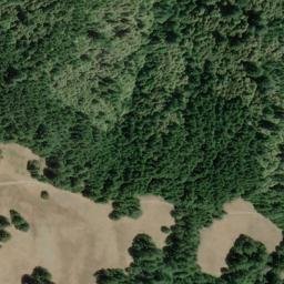 Satellite imagery of Pig Toe, US