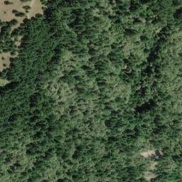 Satellite imagery of Pig Toe, US
