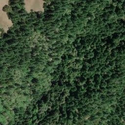 Satellite imagery of Pig Toe, US