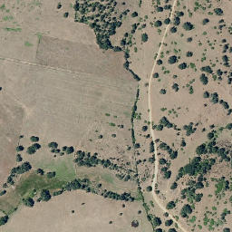 Satellite imagery of survey_point, PT
