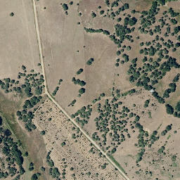 Satellite imagery of survey_point, PT