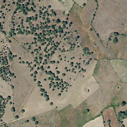 Satellite imagery of survey_point, PT