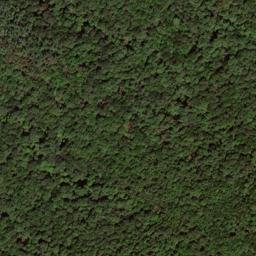 Satellite imagery of Willow Run Ridge, US