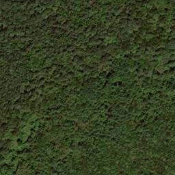 Satellite imagery of Willow Run Ridge, US