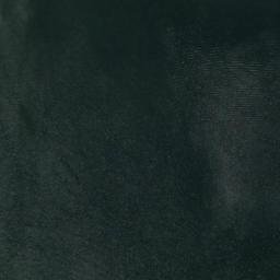 Satellite imagery of Locust Point, US