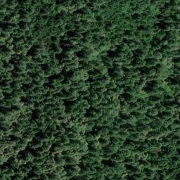 Satellite imagery of Long Ridge, US