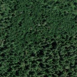 Satellite imagery of Long Ridge, US