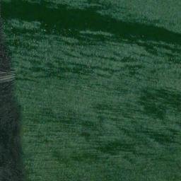 Satellite imagery of Barley Point, US