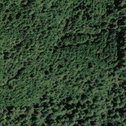 Satellite imagery of Peavine Ridge, US