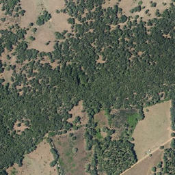 Satellite imagery of survey_point, PT