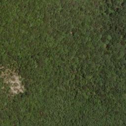Satellite imagery of Stony Ridge, US