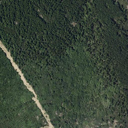 Satellite imagery of survey_point, PT