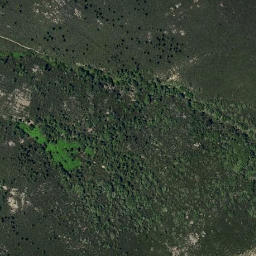 Satellite imagery of survey_point, PT