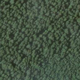 Satellite imagery of Duckett Bluff, US