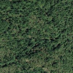 Satellite imagery of Cuneo Ridge, US