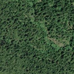 Satellite imagery of Cuneo Ridge, US