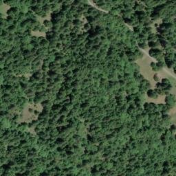 Satellite imagery of Cuneo Ridge, US
