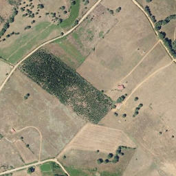 Satellite imagery of survey_point, PT