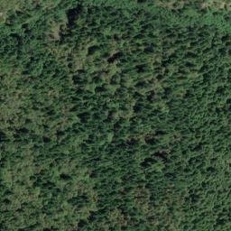 Satellite imagery of Cuneo Ridge, US