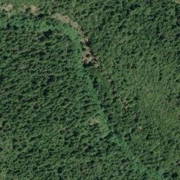 Satellite imagery of Cuneo Ridge, US