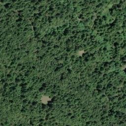 Satellite imagery of Cuneo Ridge, US