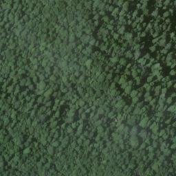Satellite imagery of Duckett Bluff, US